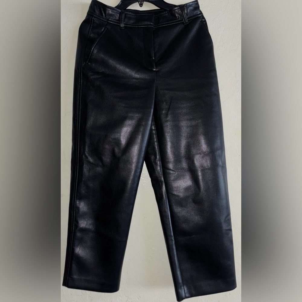 Aritzia Babaton faux leather pants